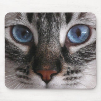 Alfombrilla De Ratón Cojín de ratón del gatito de los "ojos azules que