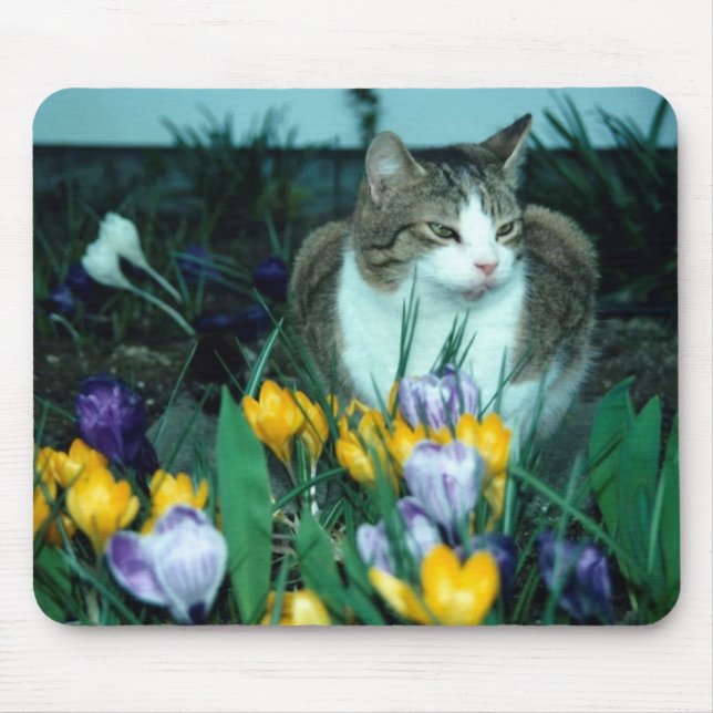 Alfombrilla De Ratón Cojín de ratón del gato (Frente)