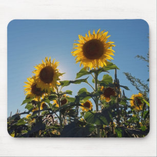Alfombrilla De Ratón Cojín de ratón del girasol