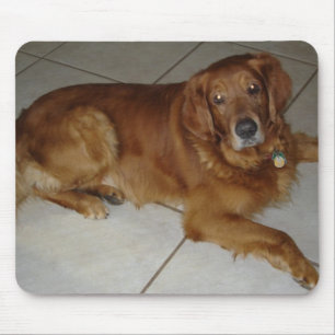 Alfombrilla De Ratón Cojín de ratón del golden retriever