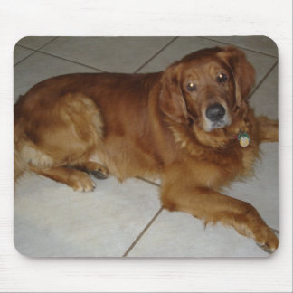 Alfombrilla De Ratón Cojín de ratón del golden retriever