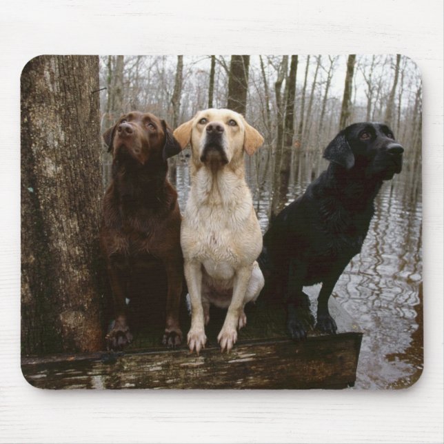 Alfombrilla De Ratón cojín de ratón del labrado (Frente)