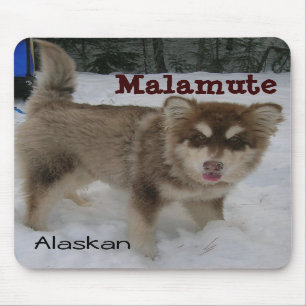 Alfombrilla De Ratón Cojín de ratón del Malamute de Alaska
