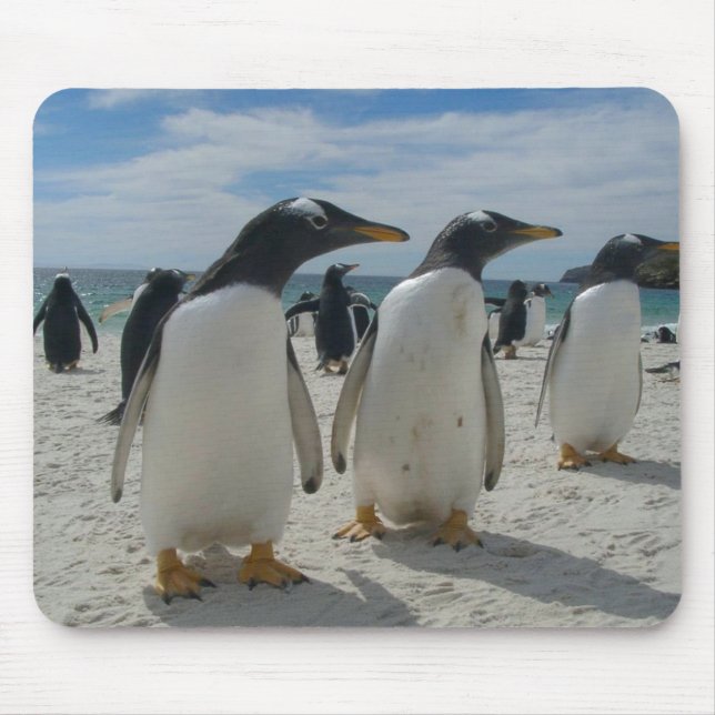 Alfombrilla De Ratón Cojín de ratón del pájaro 19 (Frente)