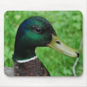 Alfombrilla De Ratón Cojín de ratón del pato silvestre