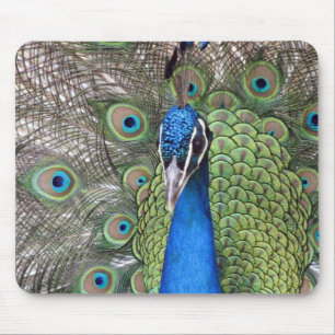 Alfombrilla De Ratón Cojín de ratón del pavo real