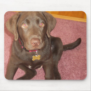 Alfombrilla De Ratón Cojín de ratón del perrito de Labrador del