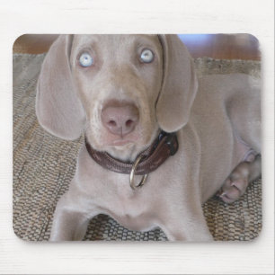 Alfombrilla De Ratón Cojín de ratón del perrito de Weimaraner