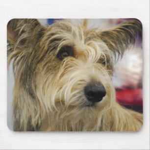 Alfombrilla De Ratón Cojín de ratón del perro de Berger Picard