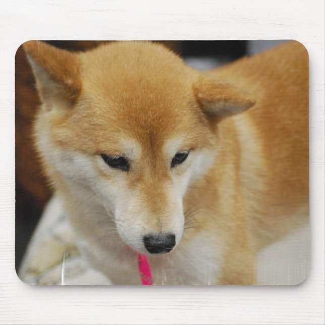Alfombrilla De Ratón Cojín de ratón del perro de Shiba Inu (Frente)
