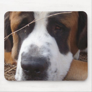 Alfombrilla De Ratón Cojín de ratón del perro de St Bernard