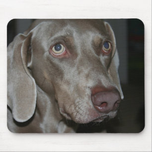 Alfombrilla De Ratón Cojín de ratón del perro de Weimaraner