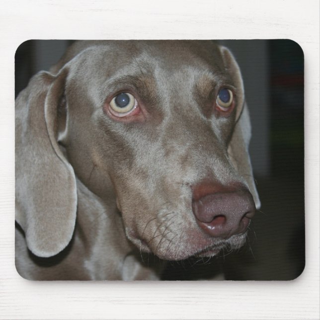 Alfombrilla De Ratón Cojín de ratón del perro de Weimaraner (Frente)