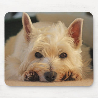 Alfombrilla De Ratón Cojín de ratón del perro de Westie/estera hermosos