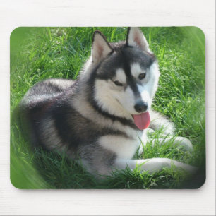 Alfombrilla De Ratón Cojín de ratón del perro del husky siberiano