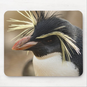 Alfombrilla De Ratón Cojín de ratón del pingüino de Rockhopper