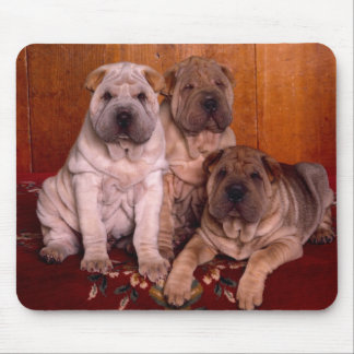 Alfombrilla De Ratón cojín de ratón del sharpei