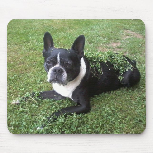 Alfombrilla De Ratón Cojín de ratón del terrier de Boston (Frente)