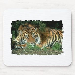 Alfombrilla De Ratón Cojín de ratón del tigre de Bengala