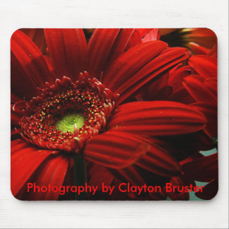 Alfombrilla De Ratón Cojín de ratón -- Floral rojo