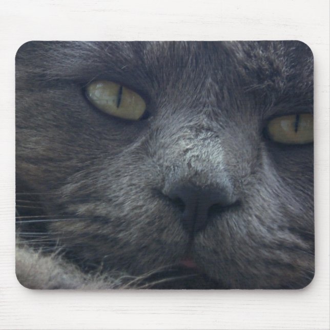 Alfombrilla De Ratón Cojín de ratón fresco de la cara del gato (Frente)