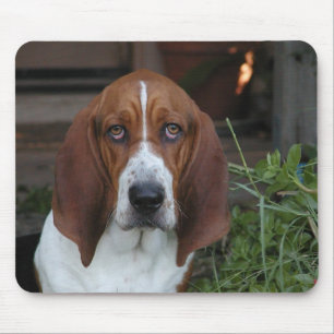 Alfombrilla De Ratón Cojín de ratón hermoso de Basset Hound
