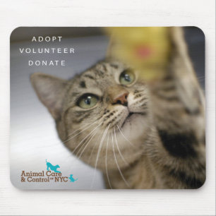 Alfombrilla De Ratón Cojín de ratón "hora para el juego "