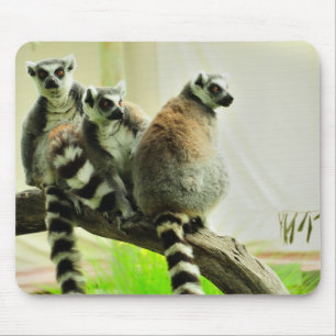 Alfombrilla De Ratón Cojín de ratón - Lemur-Anillo atado