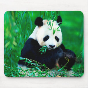 Alfombrilla De Ratón Cojín de ratón lindo de la panda