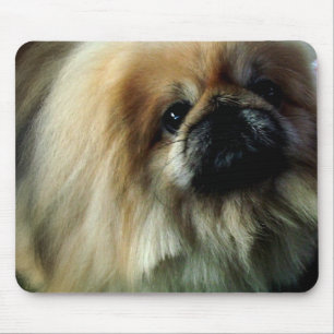 Alfombrilla De Ratón Cojín de ratón lindo de Pekingese