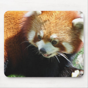 Alfombrilla De Ratón Cojín de ratón lindo del oso de panda roja