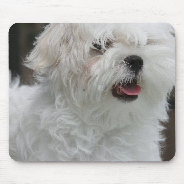 Alfombrilla De Ratón Cojín de ratón maltés blanco del perrito (Frente)