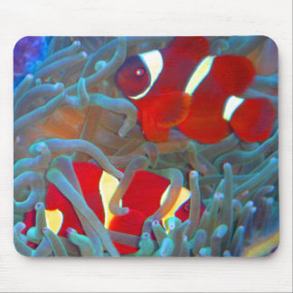 Alfombrilla De Ratón Cojín de ratón marrón de Clownfish