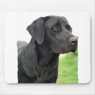 Alfombrilla De Ratón Cojín de ratón negro del labrador retriever