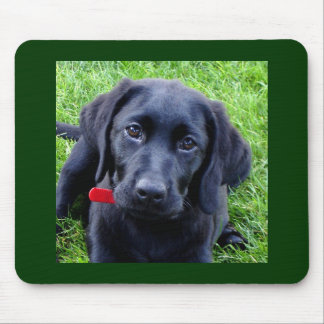 Alfombrilla De Ratón Cojín de ratón negro del perrito de Labrador