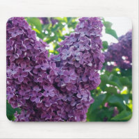 Cojín de ratón púrpura de las lilas