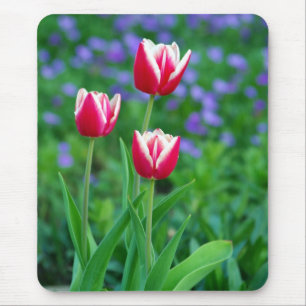 Alfombrilla De Ratón Cojín de ratón rojo de los tulipanes