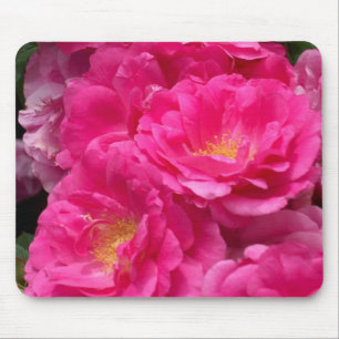 Alfombrilla De Ratón Cojín de ratón rosado de los rosas