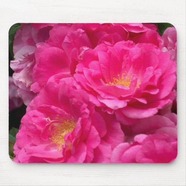 Alfombrilla De Ratón Cojín de ratón rosado de los rosas (Frente)