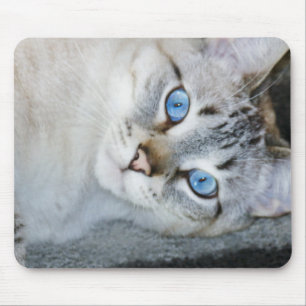 Alfombrilla De Ratón Cojín de ratón siamés del Tabby de plata