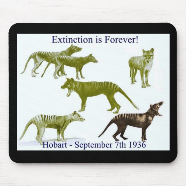 Alfombrilla De Ratón Cojín de ratón tasmano del Thylacine del tigre (Frente)