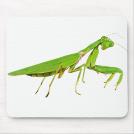 Alfombrilla De Ratón Cojín de ratón verde gigante de la mantis