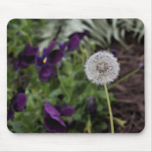 Cojín del diente de león y de ratón de los