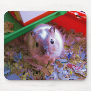 Alfombrilla De Ratón Cojín del Gerbil
