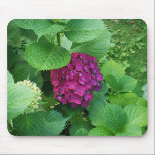 Alfombrilla De Ratón Cojín del Hortensia