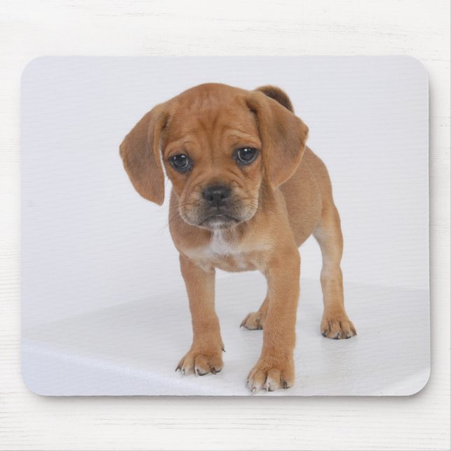 Alfombrilla De Ratón Cojín del perrito de Puggle (Frente)