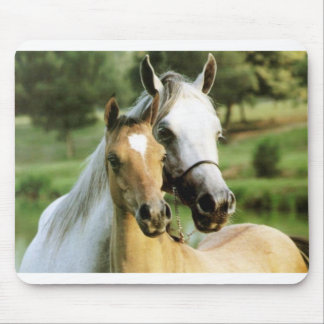 Alfombrilla De Ratón Cojín del potro