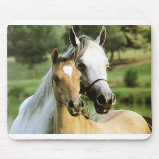 Alfombrilla De Ratón Cojín del potro (Frente)