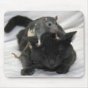 Alfombrilla De Ratón Cojín del ratón y de ratón del gato