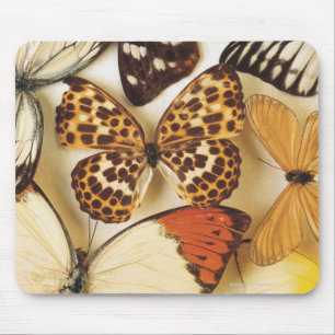 Alfombrilla De Ratón Colección de la mariposa